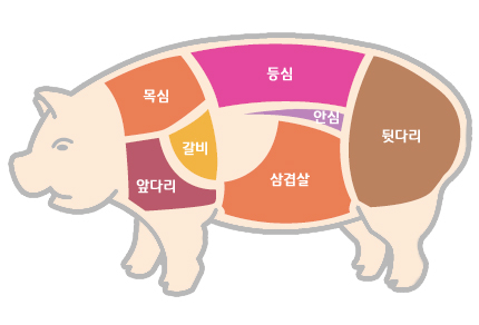 돼지의 부위별 명칭-목심, 등심, 안심, 앞다리, 갈비, 삼겹살, 뒷다리.